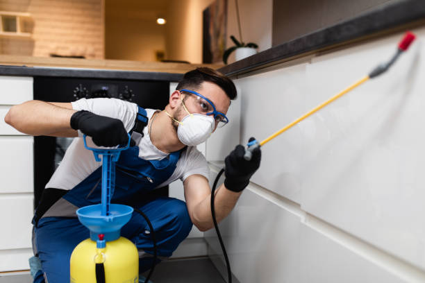 Best Bed Bug Extermination  in Camp Hill, PA