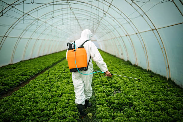 Reliable Camp Hill, PA Pest Control Solutions