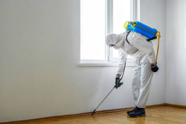Wasp Removal Services in Camp Hill, PA
