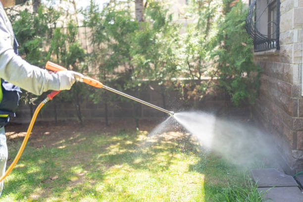 Professional Pest Control in Camp Hill, PA