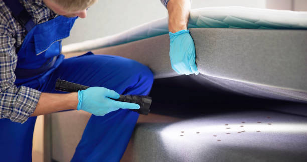 Pest Control Cost in Camp Hill, PA