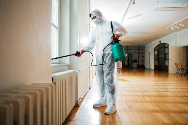 Best Insect Control  in Camp Hill, PA