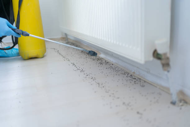 Best Pest Prevention Services  in Camp Hill, PA