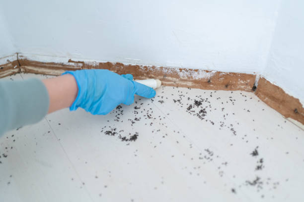 Best Pest Removal Services  in Camp Hill, PA